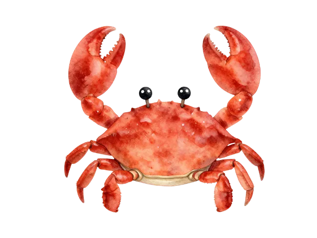 Red Watercolor Crab Illustration