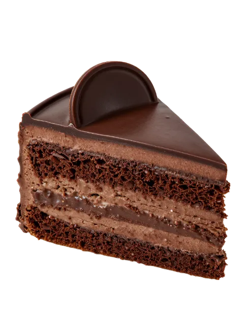 Rich Chocolate Cake Slice