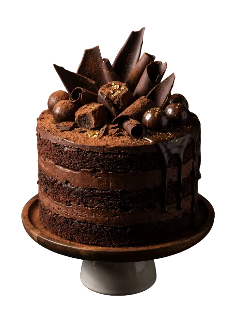 Rich Chocolate Layer Cake with Truffles and Curls
