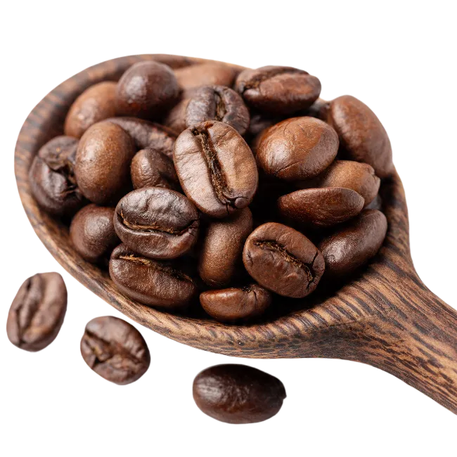 Roasted Coffee Beans in a Wooden Spoon