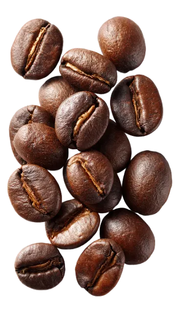 Roasted Coffee Beans Isolated