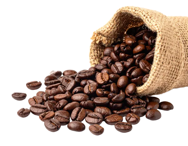 Roasted Coffee Beans Spilling from Burlap Sack
