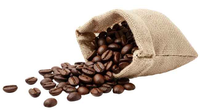 Roasted Coffee Beans Spilling From Burlap Sack