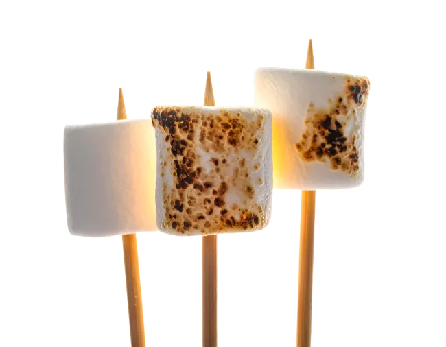 Roasted Marshmallows on Skewers