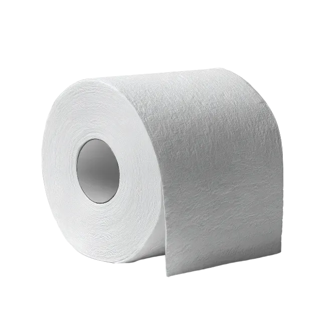 Roll of White Toilet Paper Isolated