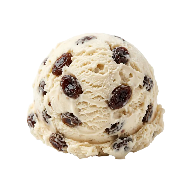 Rum Raisin Ice Cream Scoop