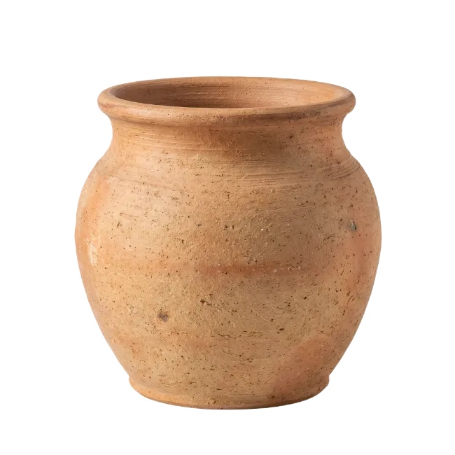 Rustic Earthenware Clay Pot