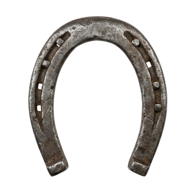 Rustic Metal Horseshoe