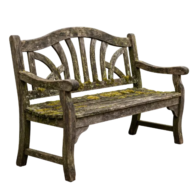 Rustic Wooden Garden Bench Covered in Moss