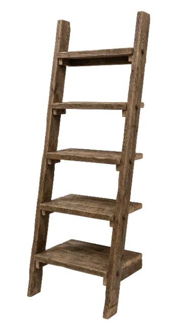 Rustic Wooden Ladder Shelf