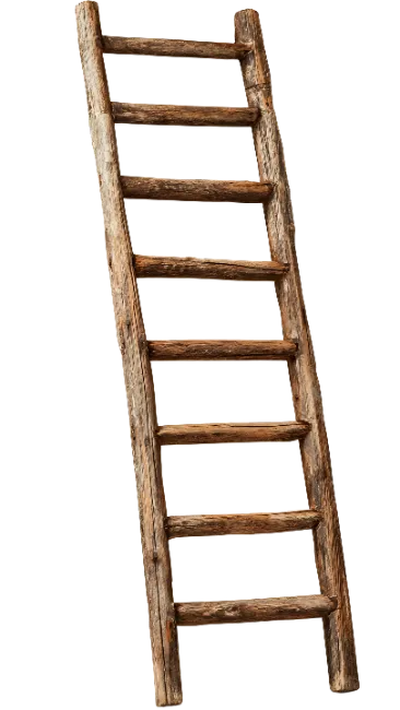 Rustic Wooden Ladder with Rungs