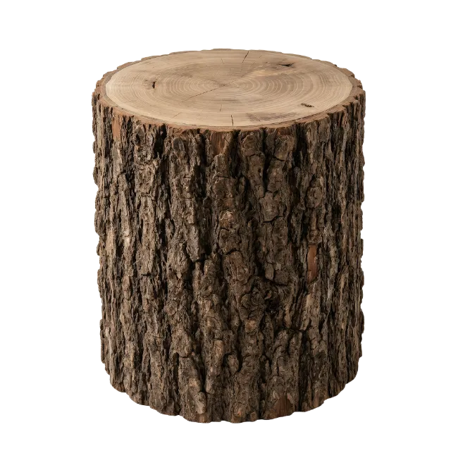 Rustic Wooden Log Stool