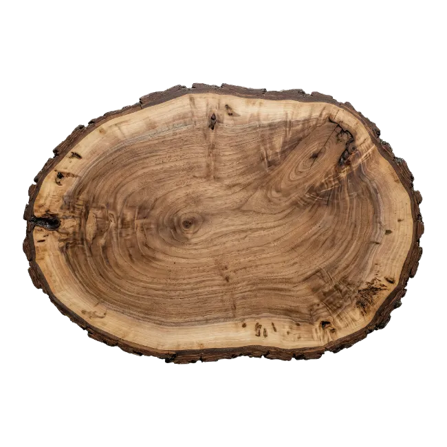 Rustic wooden slice with natural tree rings
