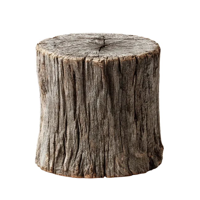 Rustic wooden stump seat or log table