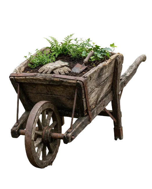 Rustic Wooden Wheelbarrow with Plants and Gardening Tools