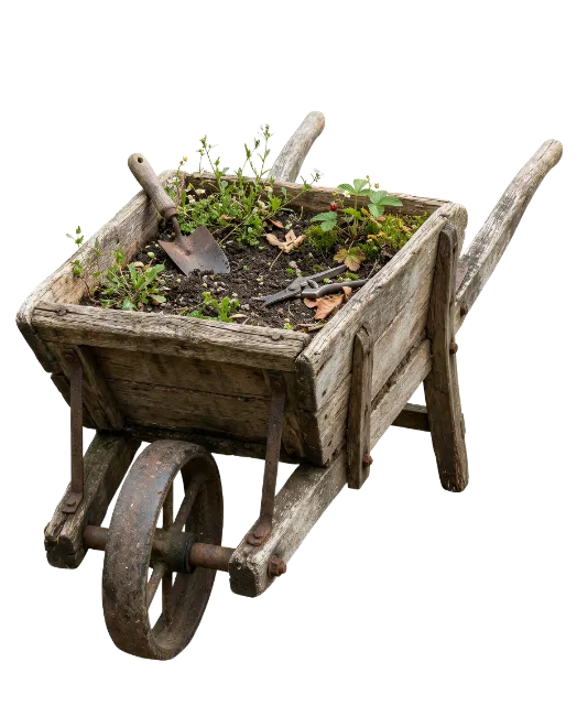 Rustic Wooden Wheelbarrow with Soil and Gardening Tools