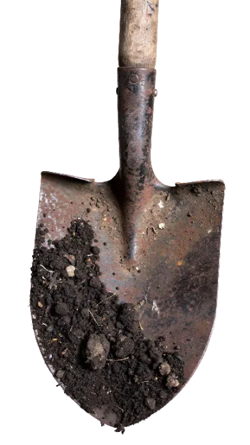 Rusty shovel with dark soil on blade
