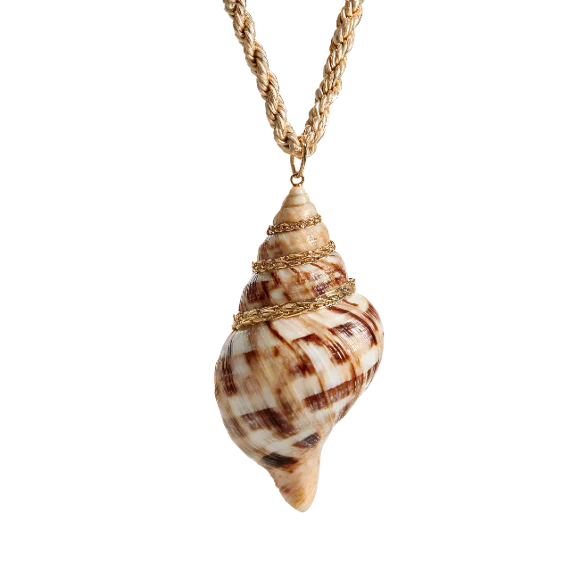 Seashell Necklace with Gold Chain