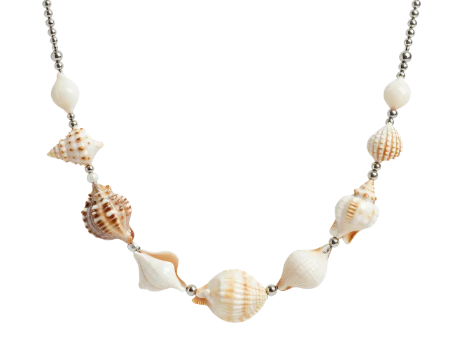 Seashell Necklace with Silver Beads