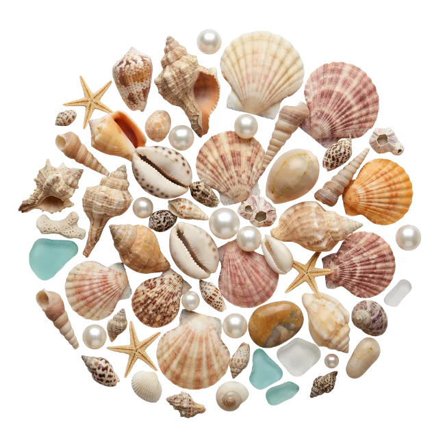 Seashells and Pearls Arrangement