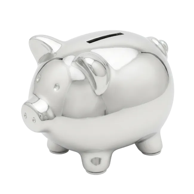 Silver Piggy Bank