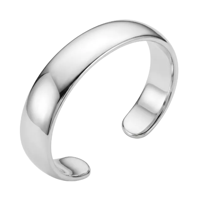 Silver Ring Jewelry Piece