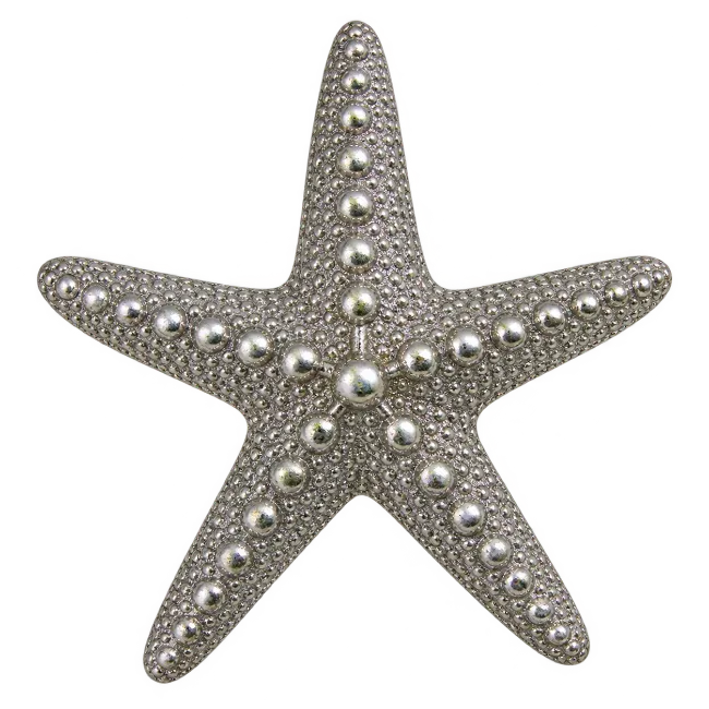 Silver Starfish Ornament with Beaded Texture