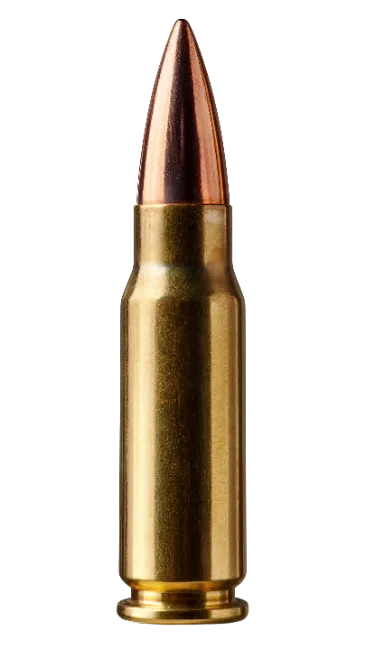 Single Brass Rifle Bullet Isolated