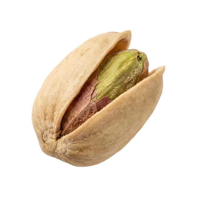 Single Pistachio Nut Isolated on Background