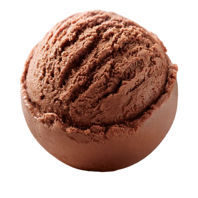 Single Scoop of Rich Chocolate Ice Cream