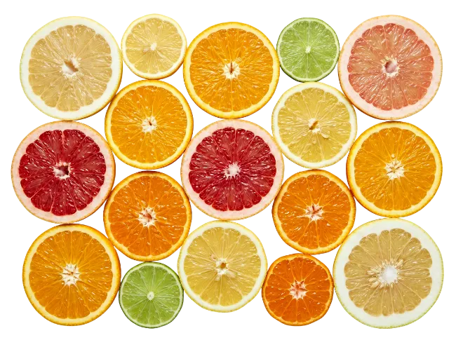 Sliced Citrus Fruits Assortment