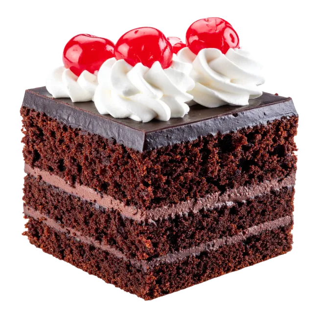 Square chocolate cake slice with cherries