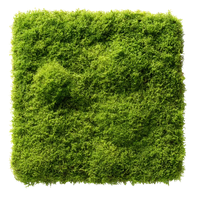 Square Green Moss Patch
