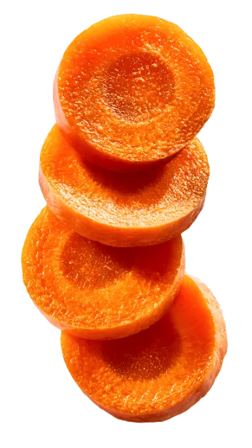 Stack of Fresh Carrot Slices