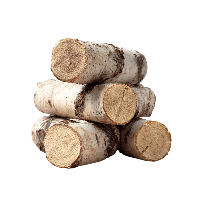 Stacked Birch Wood Logs