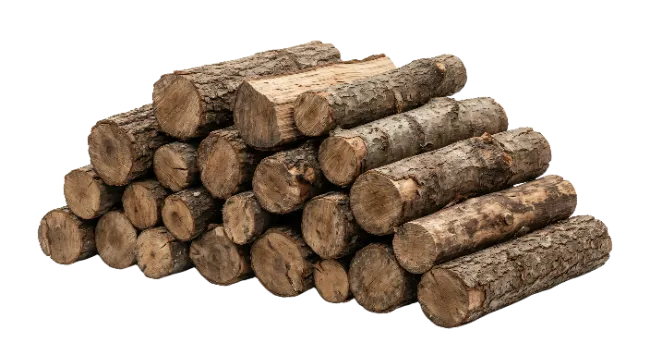Stacked Firewood Logs