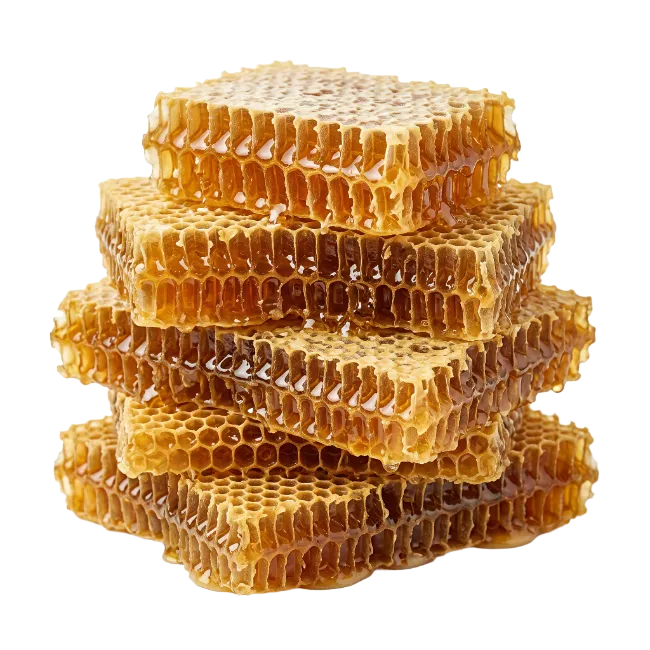 Stacked Honeycomb Slices with Sweet Honey