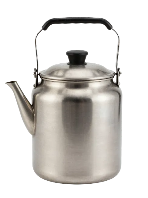 Stainless Steel Kettle with Black Handle