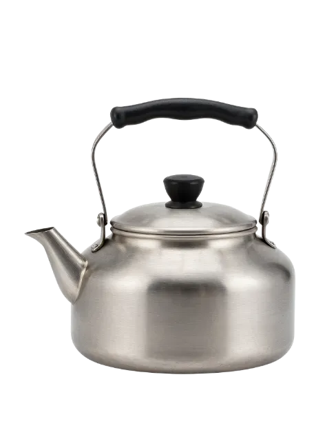 Stainless Steel Tea Kettle