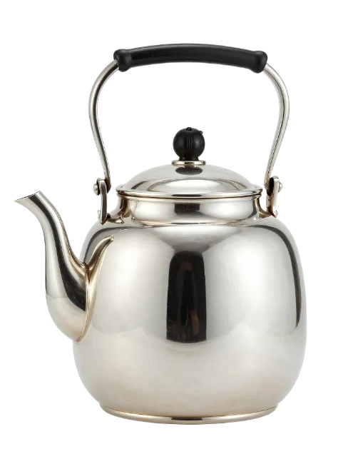 Stainless Steel Tea Kettle