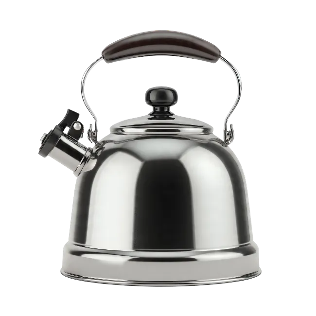 Stainless Steel Tea Kettle