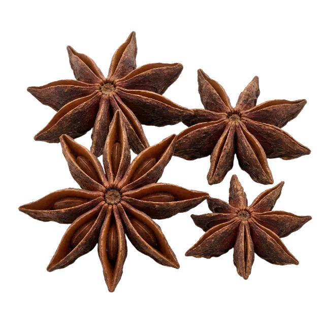 Star Anise Spices Arranged Together