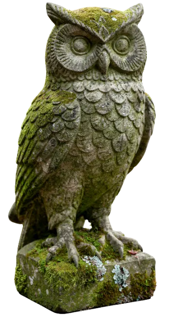 Stone Owl Statue Covered In Green Moss