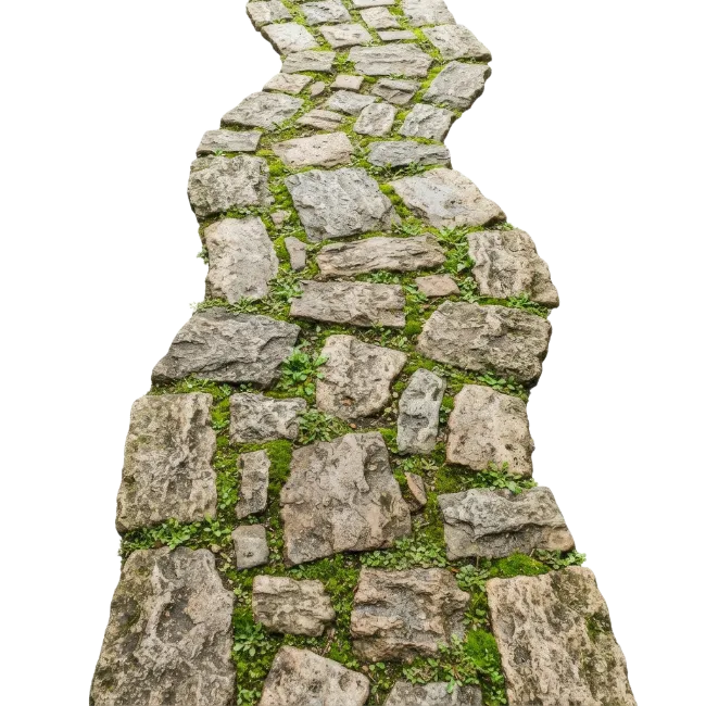 Stone Pathway with Moss