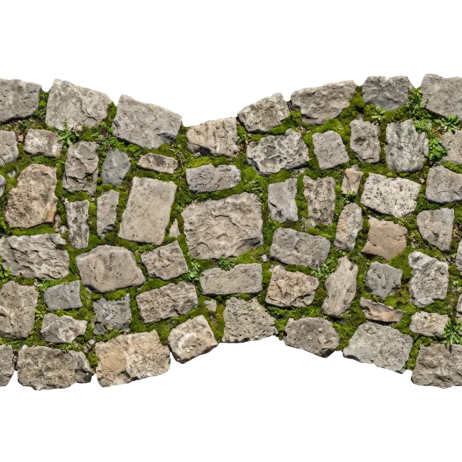 Stone Wall Texture with Green Moss