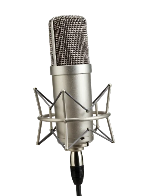 Studio Condenser Microphone in Shock Mount