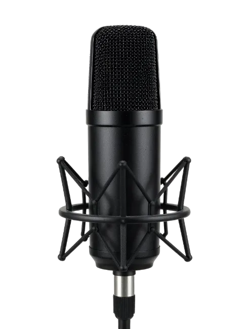 Studio Condenser Microphone on Shock Mount