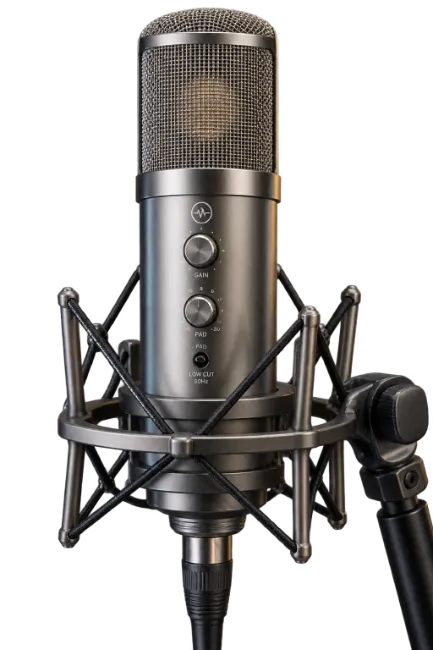 Studio Condenser Microphone on Shock Mount
