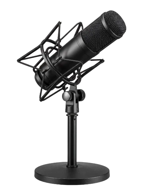 Studio Condenser Microphone on Stand