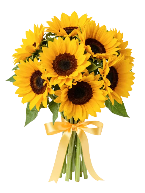 Sunflowers Bouquet Tied With Yellow Ribbon